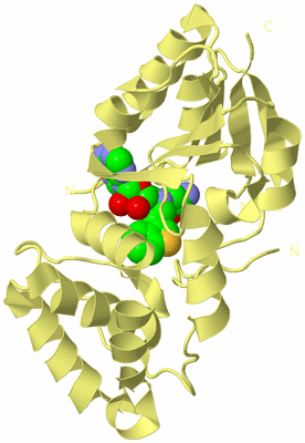 Image Biological Unit 2