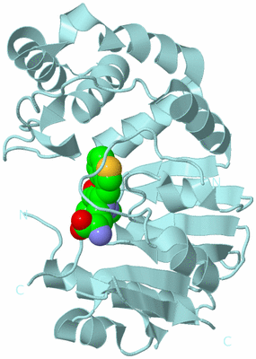 Image Biological Unit 4