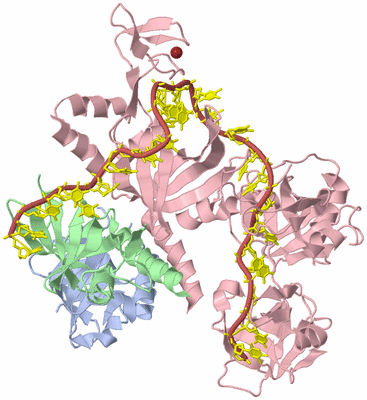 Image Biological Unit 1