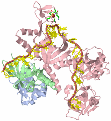 Image Biol. Unit 1 - sites