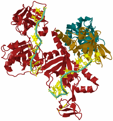 Image Biological Unit 2