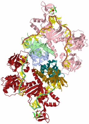 Image Asym. Unit - sites