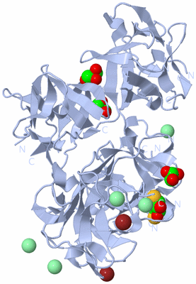 Image Biological Unit 1