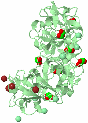 Image Biological Unit 2