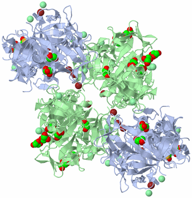 Image Biological Unit 3