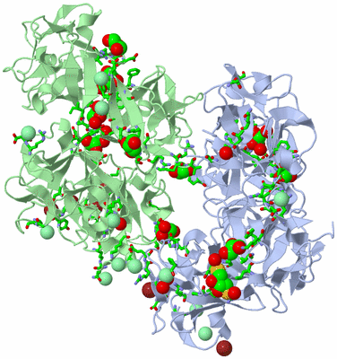 Image Asym. Unit - sites