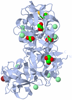 Image Biological Unit 1