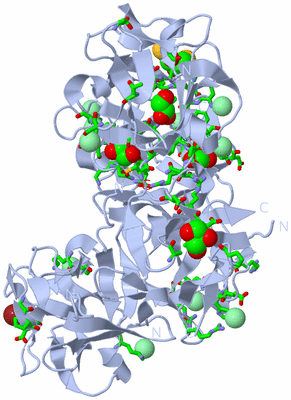 Image Biol. Unit 1 - sites