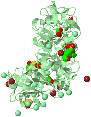 Image Biological Unit 2