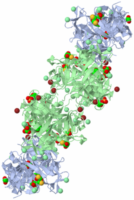 Image Biological Unit 3