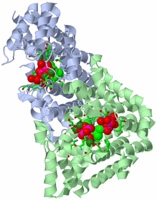 Image Asym./Biol. Unit - sites