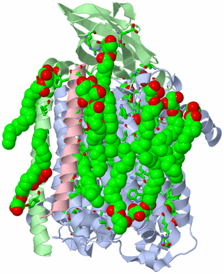 Image Asym./Biol. Unit - sites