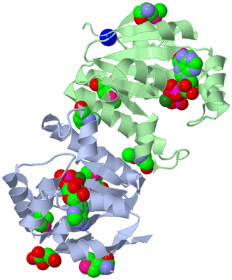 Image Biological Unit 1