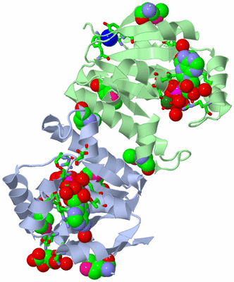 Image Biol. Unit 1 - sites