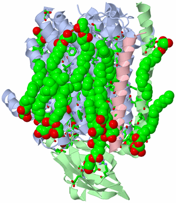 Image Asym./Biol. Unit - sites