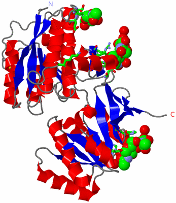 Image Asym. Unit - sites