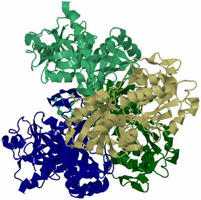 Image Asym./Biol. Unit