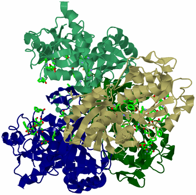 Image Asym./Biol. Unit - sites