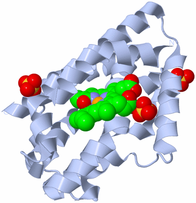 Image Biological Unit 1