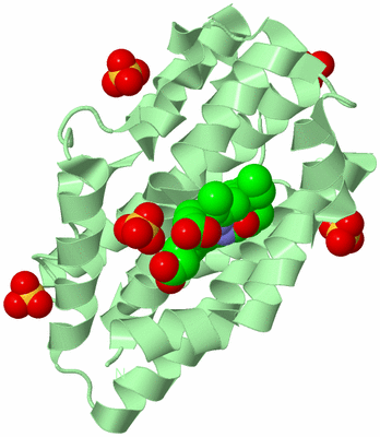 Image Biological Unit 2