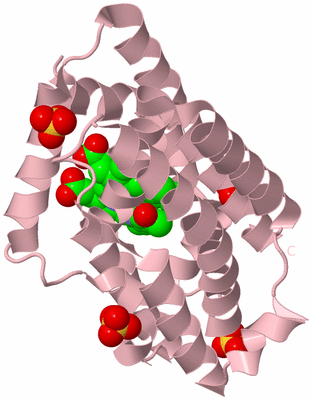 Image Biological Unit 3