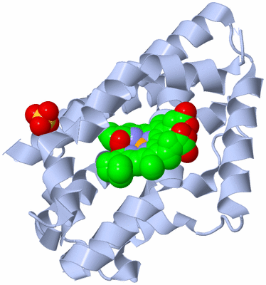 Image Biological Unit 1