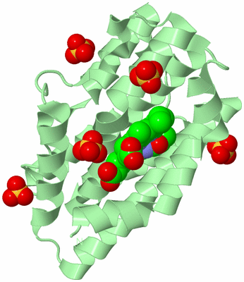 Image Biological Unit 2