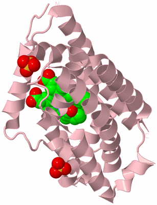 Image Biological Unit 3