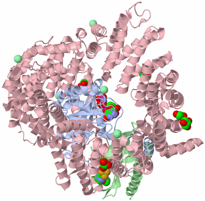 Image Asym./Biol. Unit