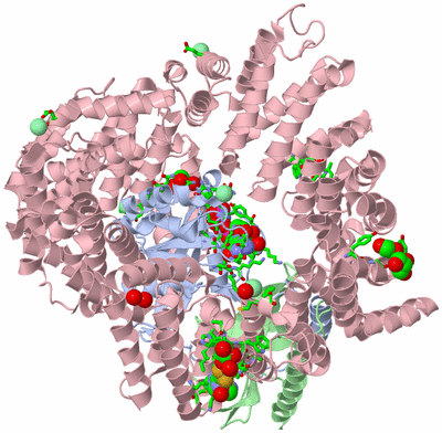 Image Asym./Biol. Unit - sites