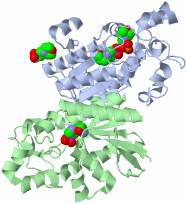 Image Asym./Biol. Unit