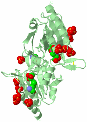 Image Biological Unit 2