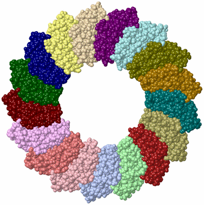 Image Biological Unit 3