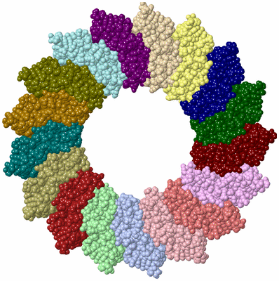 Image Biological Unit 4