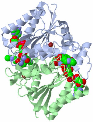 Image Asym./Biol. Unit