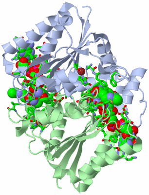 Image Asym./Biol. Unit - sites