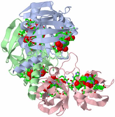 Image Asym./Biol. Unit - sites