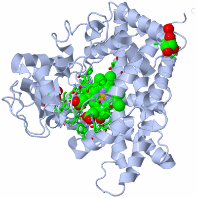 Image Biol. Unit 1 - sites