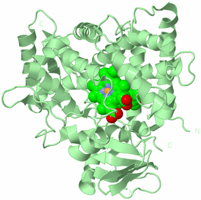 Image Biological Unit 2