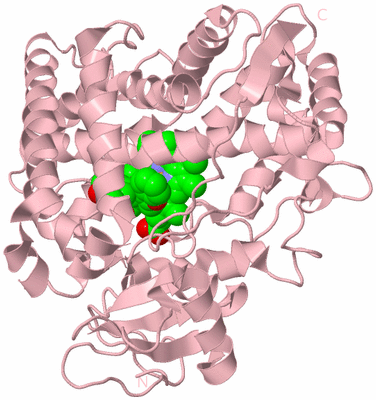 Image Biological Unit 3