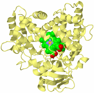 Image Biological Unit 4