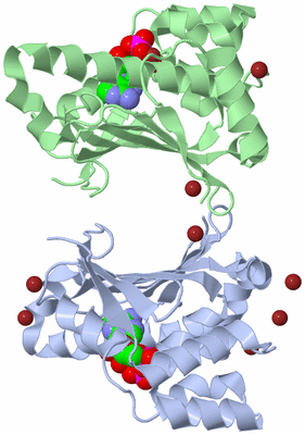 Image Asym./Biol. Unit