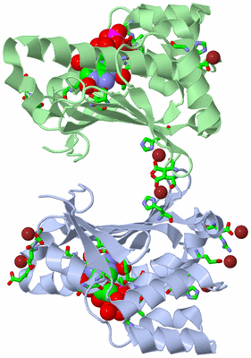 Image Asym./Biol. Unit - sites