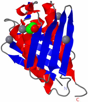 Image Asymmetric Unit