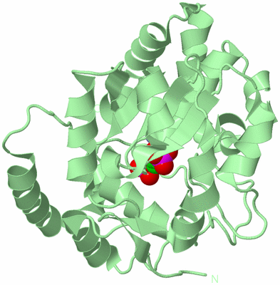 Image Biological Unit 2