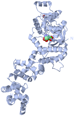 Image Biological Unit 1