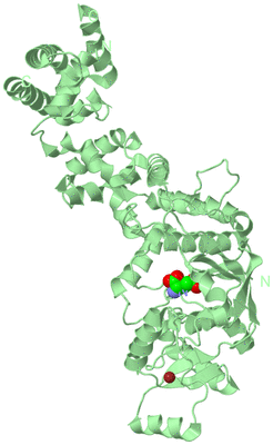 Image Biological Unit 2