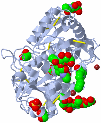 Image Asym./Biol. Unit