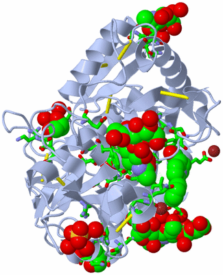 Image Asym./Biol. Unit - sites