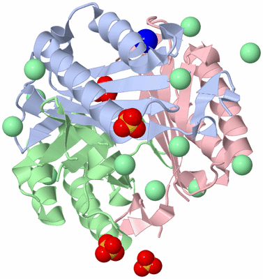 Image Asym./Biol. Unit